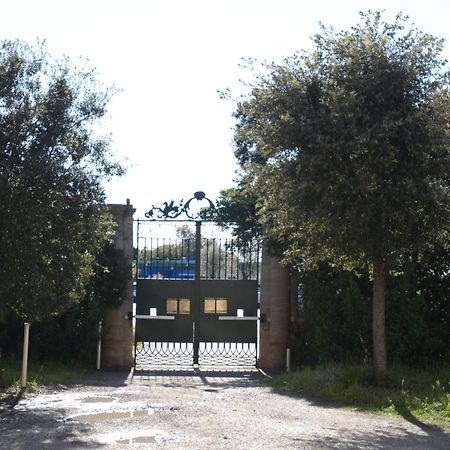 Villa Anselmi - Arteindiretta Livorno Exteriör bild