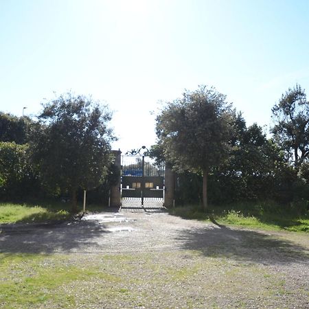 Villa Anselmi - Arteindiretta Livorno Exteriör bild